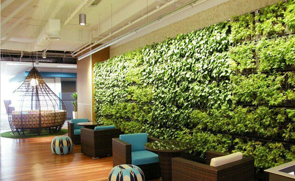 成都植物绿墙的优点有哪些