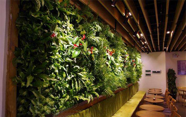 成都绿植墙公司教你如何提升植物墙的存活率