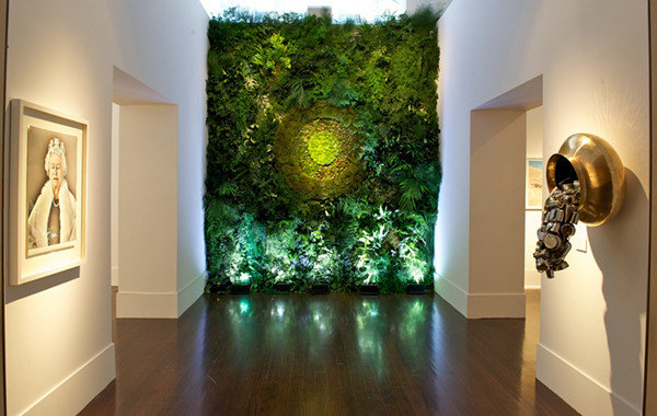 成都植物墙公司介绍室内植物墙的做法
