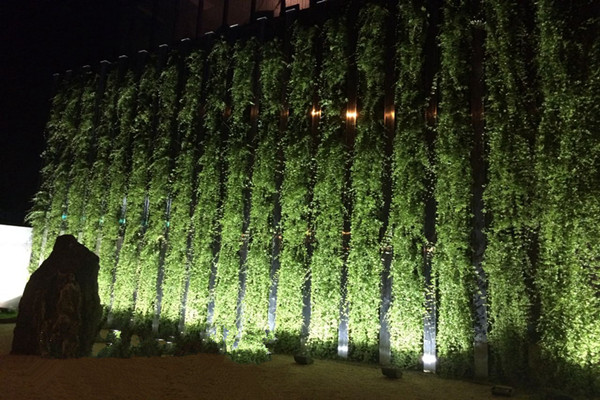 成都绿化墙公司介绍植物墙夜景特点