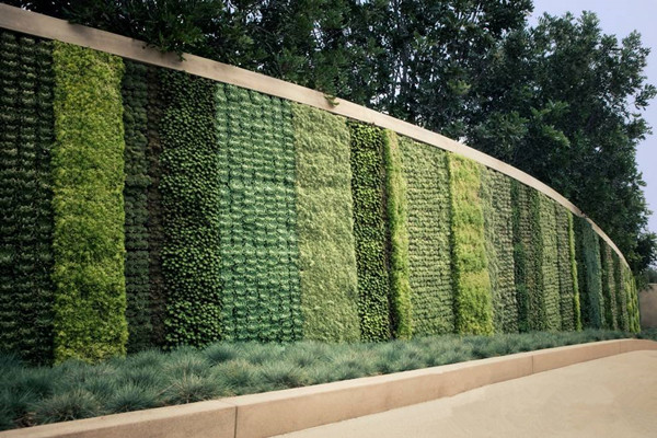 成都植物墙公司介绍植物墙与建筑的融合关系