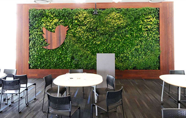 植物墙公司介绍木饰元素与植物墙结合的优点