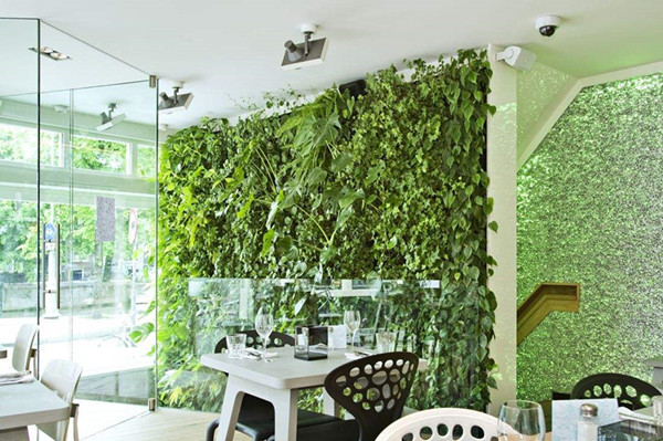 植物墙公司教你如何自制室内植物墙