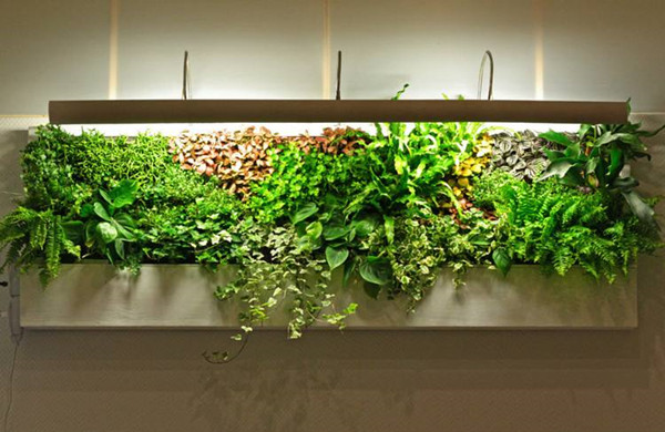 成都立体绿化设计介绍小型植物墙造景要点