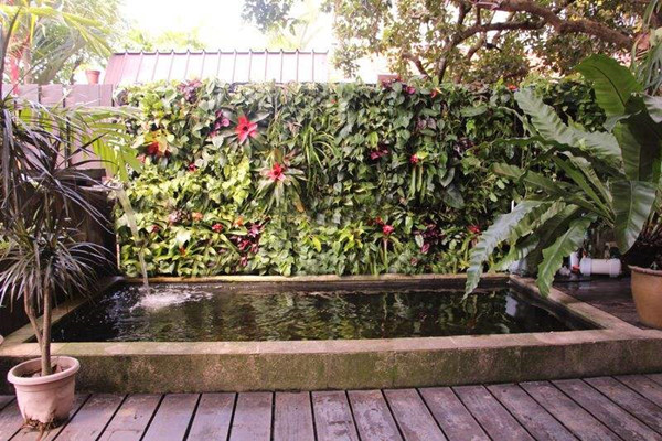 成都植物墙公司介绍植物墙的好处有哪些 成都植物墙公司介绍植物墙的好处有哪些