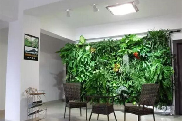 植物墙公司浅析居住空间植物墙的设计应用