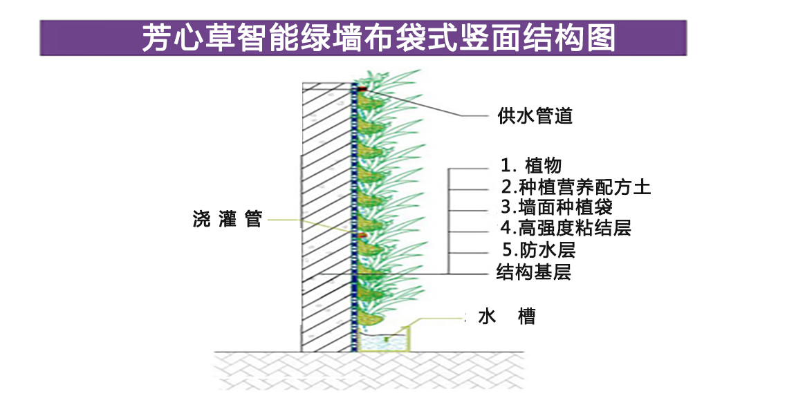 描述